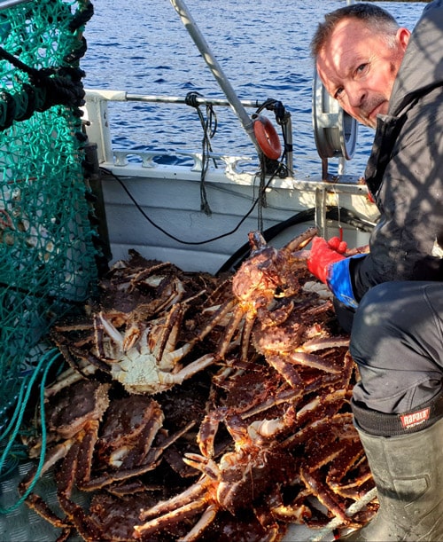 Jørn emptying king crab cage