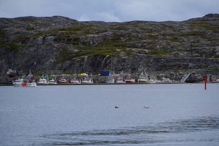 Bugøynes-boats-Barents-Adventuer