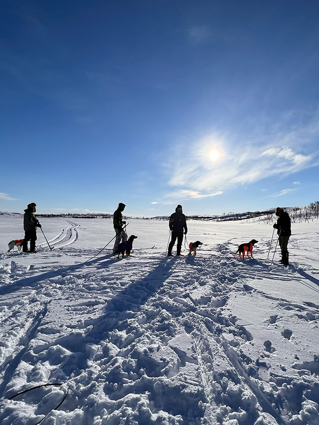 Image gallery - Barents Adventure 19