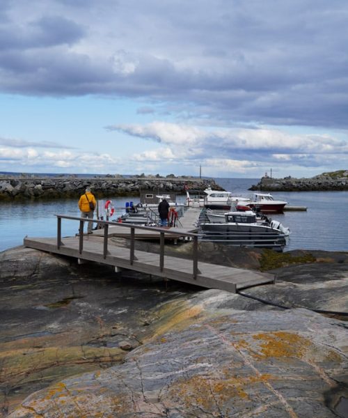 Habor of Bugøynes