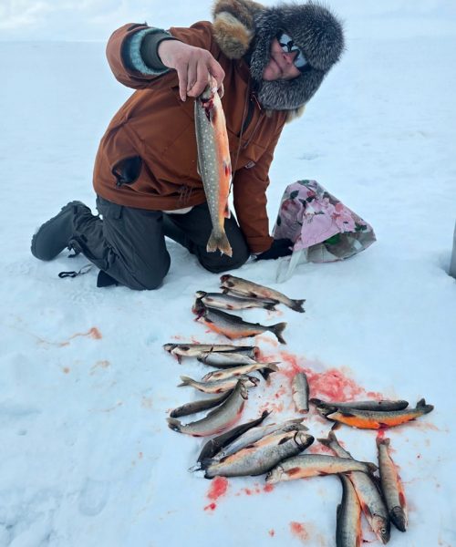 Successful-ice-fishing---Barents-Adventure