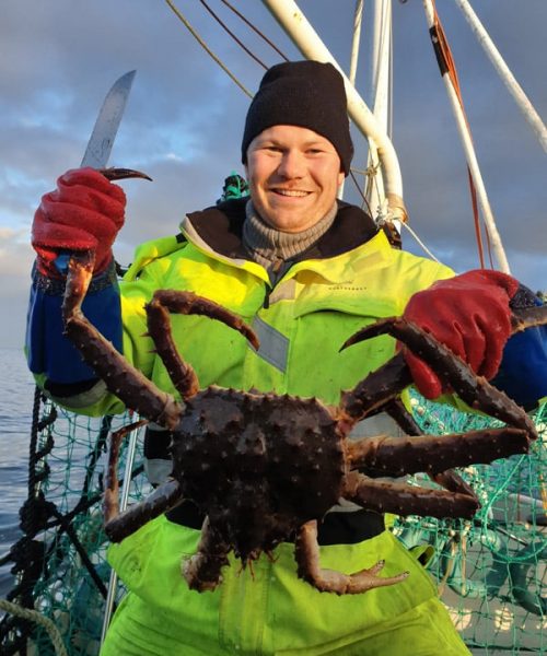 Tourist catching king crab - Barents Adventure
