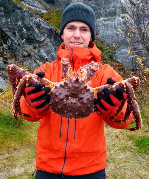 Young man holding up fresh king crab
